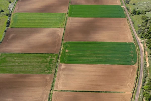 Land for Sale in Tirana - 25,900,000 Leke