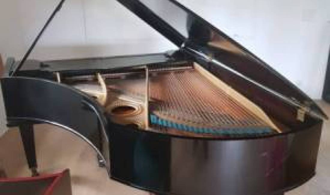 piano ime e madhe BECHSTEIN (200 cm)