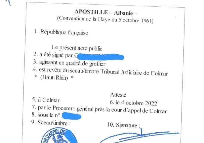 Legal Services in Tirana - 800 Leke