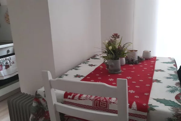 Shtepi ne shitje Apartament ne Tirane, 1+1, Mobilimi E mobiluar, Pagesa 15,000,000  Leke.
