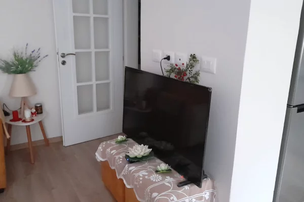 Shtepi ne shitje Apartament ne Tirane, 1+1, Mobilimi E mobiluar, Pagesa 15,000,000  Leke.