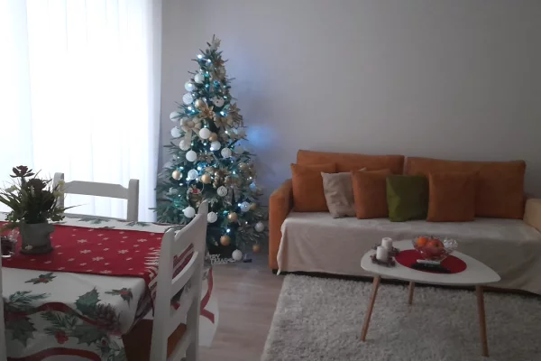 Shtepi ne shitje Apartament ne Tirane, 1+1, Mobilimi E mobiluar, Pagesa 15,000,000  Leke.