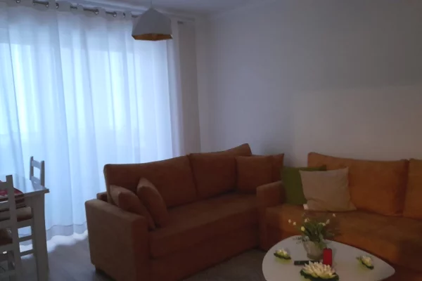 Shtepi ne shitje Apartament ne Tirane, 1+1, Mobilimi E mobiluar, Pagesa 15,000,000  Leke.
