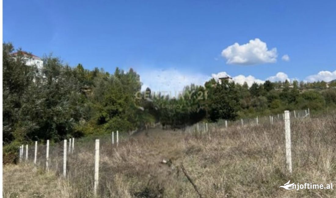 Shitet toke premtuese 700 m2 ne Sauk te Ri