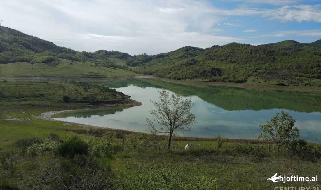 Toke prane Liqenit te Kasharit 1634m2 196,000 Euro