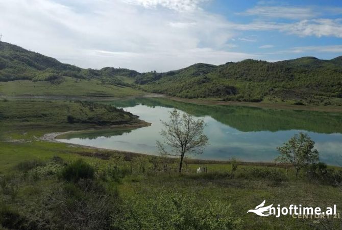 Toke prane Liqenit te Kasharit 1634m2 196,000 €