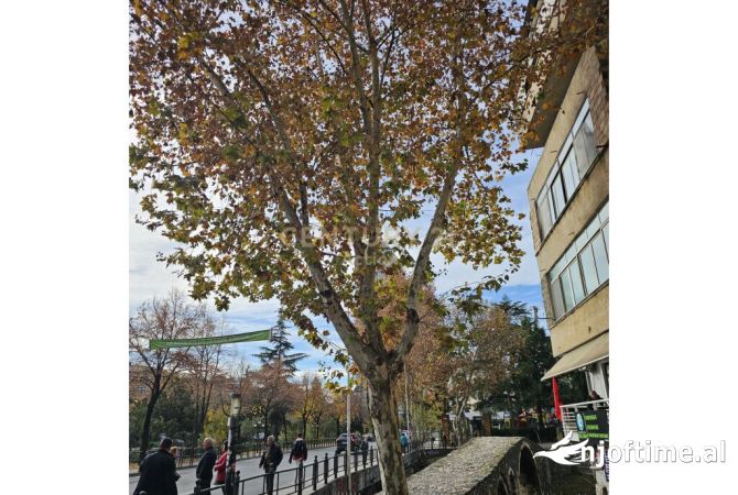 Ambient biznesi ne shitje 1+1 ne Tirane - 25,000 Euro