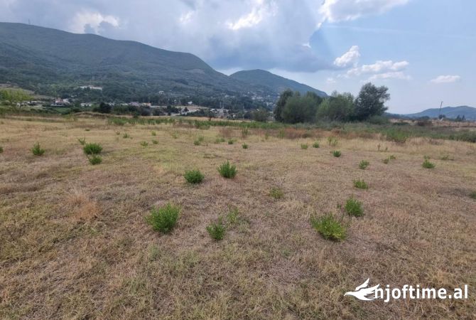 Shiten 20 dynym toke 5 minuta nga TEG