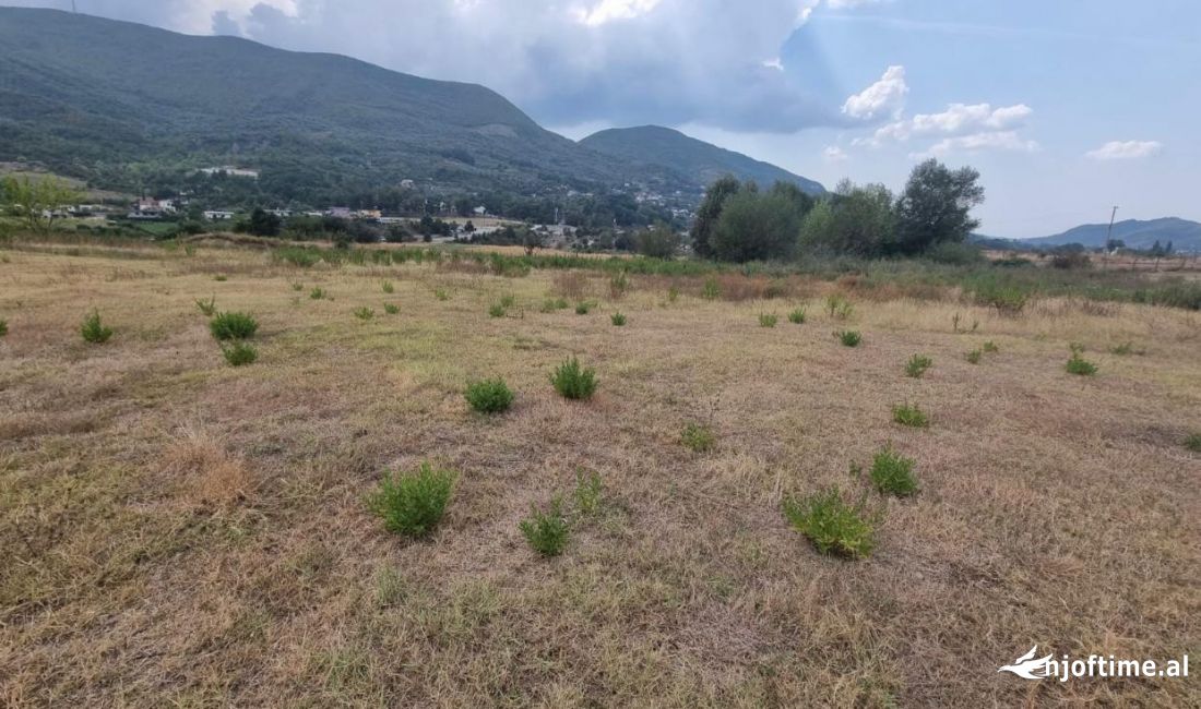 Shiten 20 dynym toke 5 minuta nga TEG