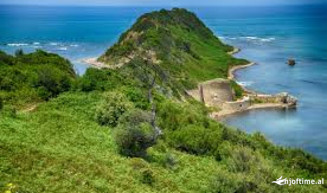 Token per Shitje tek Kepi Rodonit