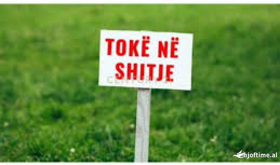 Toke per Shitje ne Kombinat 