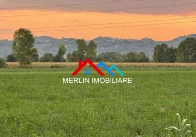 SHITET TOKE  1,400 M2  NE PETRELE.