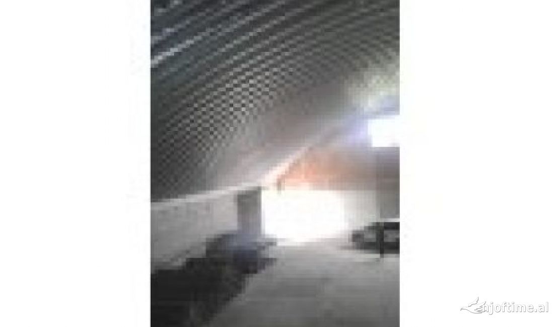 JEPET ME QERA AMBJENT BIZNESI 1.350 m2 NE RRUGEN DYTESORE MAMINAS VORE.