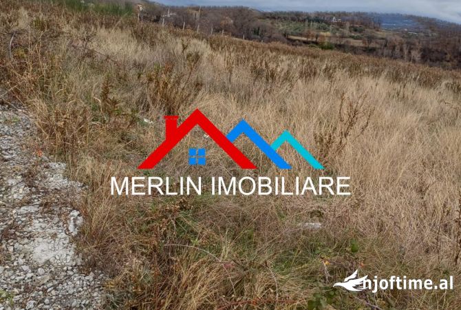 SHITET TOKE 6500m2 NE BERZHITE.