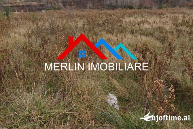 SHITET TOKE 6500m2 NE BERZHITE.
