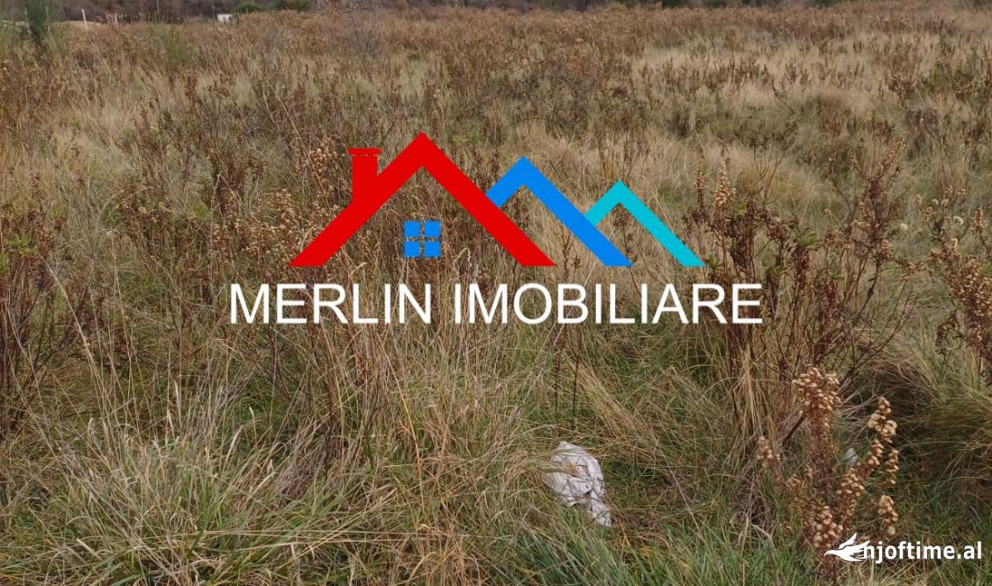 SHITET TOKE 6500m2 NE BERZHITE.