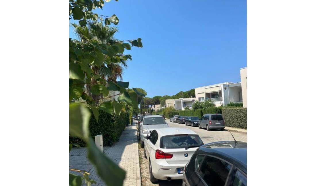 SHITET NJESI TEK KOMPLEKSI LURA 1 , GJIRI LALZIT