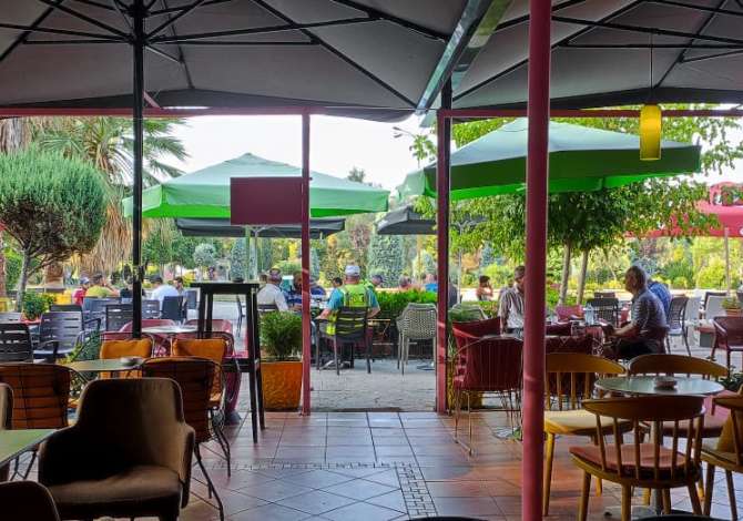 Business Property for Rent 2+1 in Tirana - 109,250 Leke