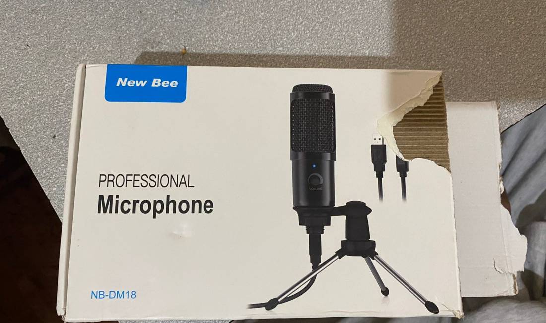 Professional Microphone Condenser