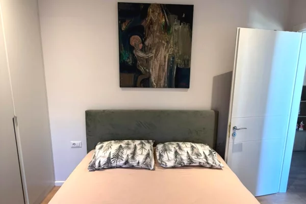 Shtepi me qera Apartament ne Tirane, 1+1, Mobilimi E mobiluar, Pagesa 800  Euro.