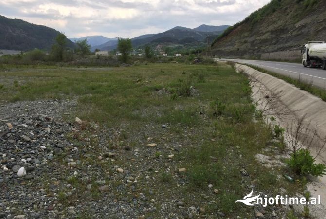 Truall ose Toke ne Lezhe - 80,000 Euro