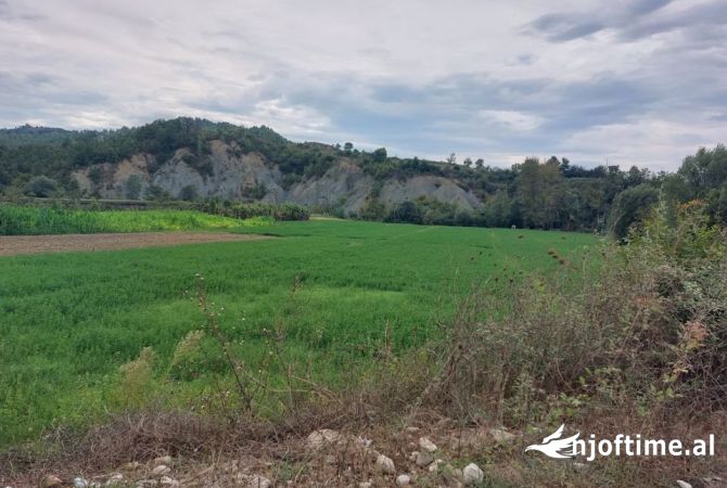 Land for Sale in Tirana - 175,000 Euro