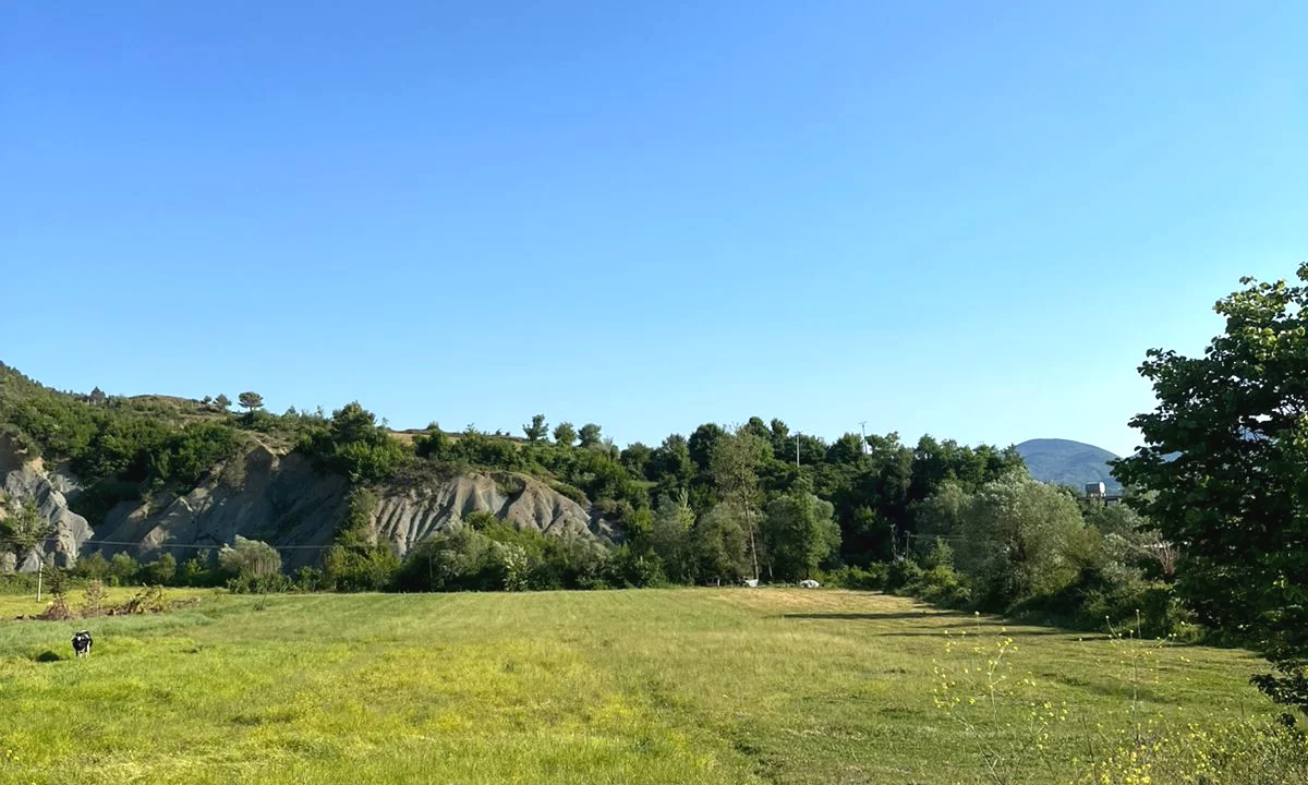 SHITET TOKE NE BALDUSHK 