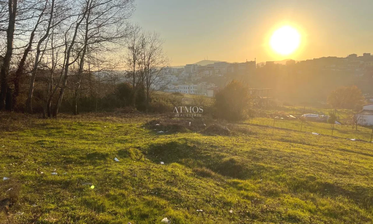 SHITET TOKE NE FARKE TIRANE