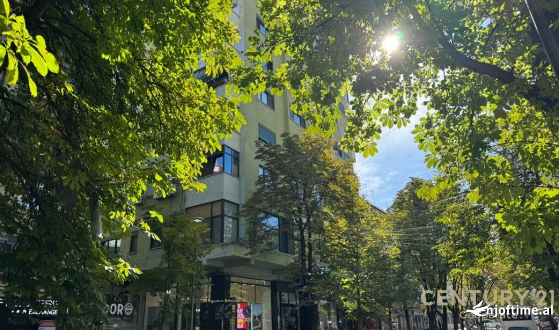 SHESIM AMBIENT PER ZYRA NE BLLOK.