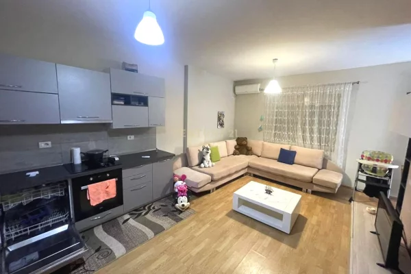 Shtepi ne shitje Apartament ne Tirane, 2+1, Mobilimi E mobiluar, Pagesa 130,000  Euro.