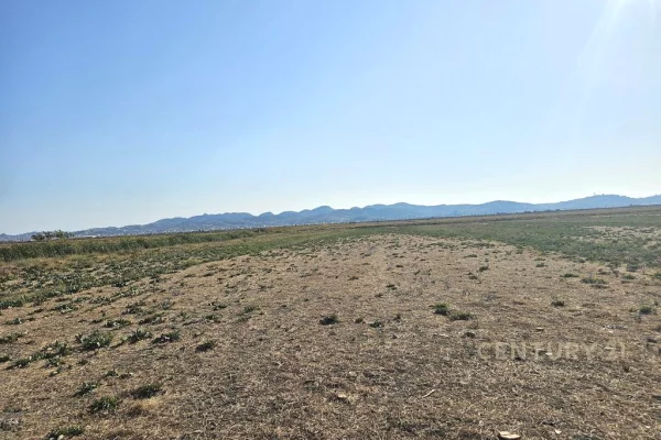 TOKE PER SHITJE PRANE PORTIT TE RI DURRES!!