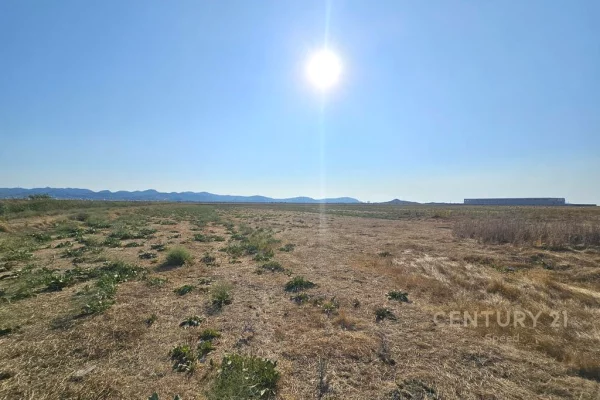 TOKE PER SHITJE PRANE PORTIT TE RI DURRES!!