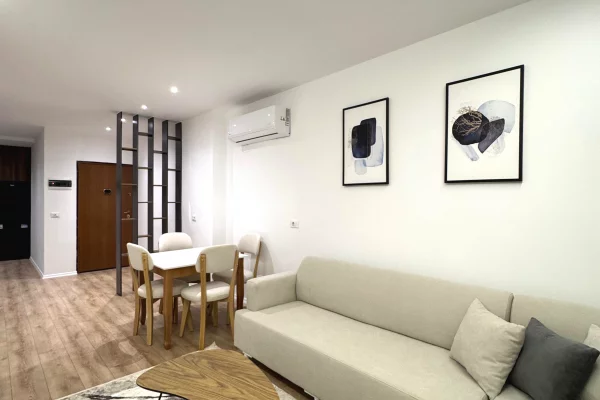 Shtepi ne shitje Apartament ne Tirane, 1+1, Mobilimi E mobiluar, Pagesa 178,000  Euro.