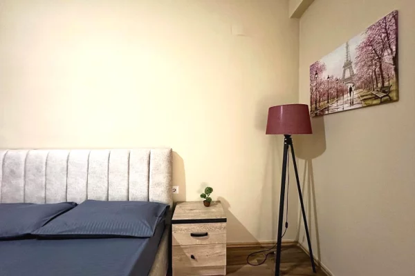 Shtepi me qera Apartament ne Tirane, 1+1, Mobilimi E mobiluar, Pagesa 800  Euro.