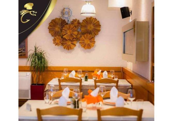 Job Offers for Dishwasher in Tirana