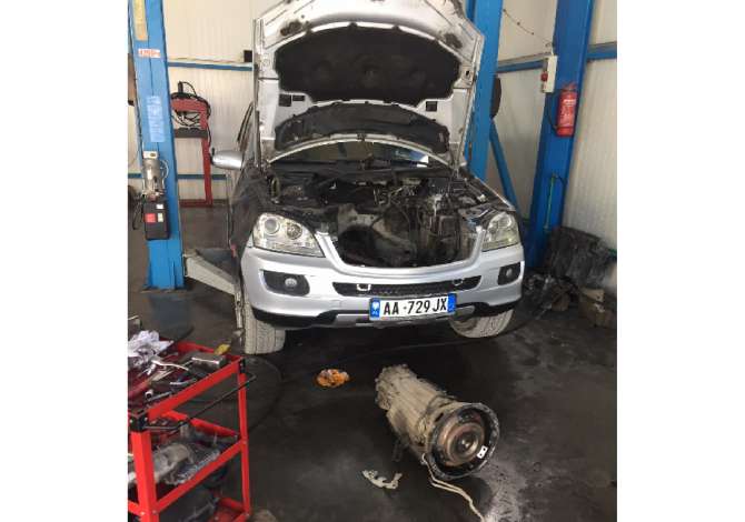 Servis qe ofron sherbime Xhenerike, Elektrike dhe Transport me Karrotrec