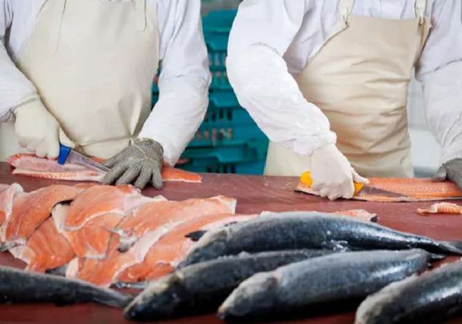 Offerte di lavoro per Perpunues peshku, Perfaqesuese ne kase, Sanitare a Tirana