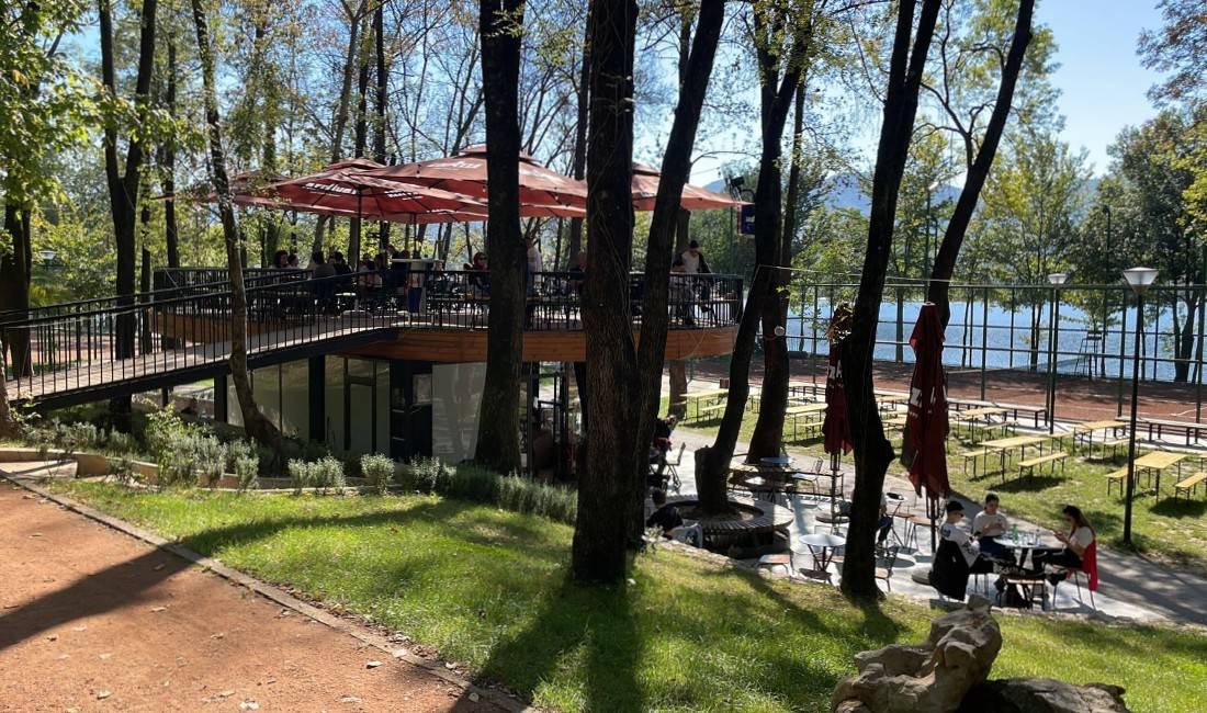 Offerte di lavoro a Tirana, Profession Ndihmes Kamarier/e, Ndihmes Banakier/e , Nessuna esperienza, Pagamento 45,000  Leke.