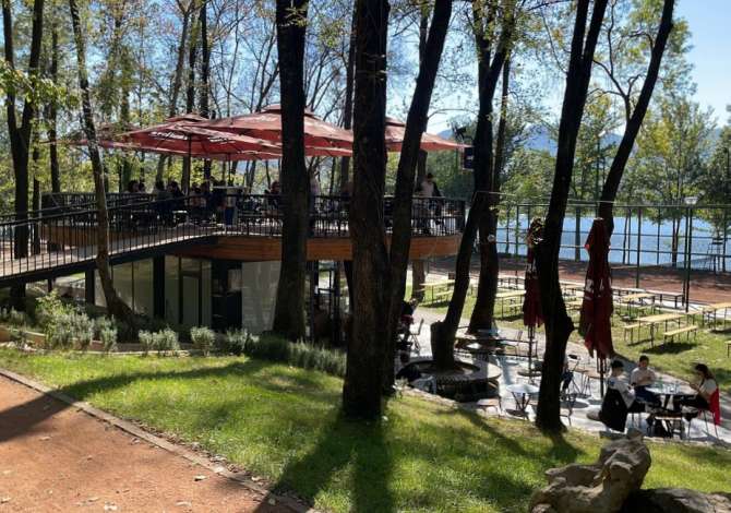 Offerte di lavoro per Ndihmes Kamarier/e, Ndihmes Banakier/e a Tirana