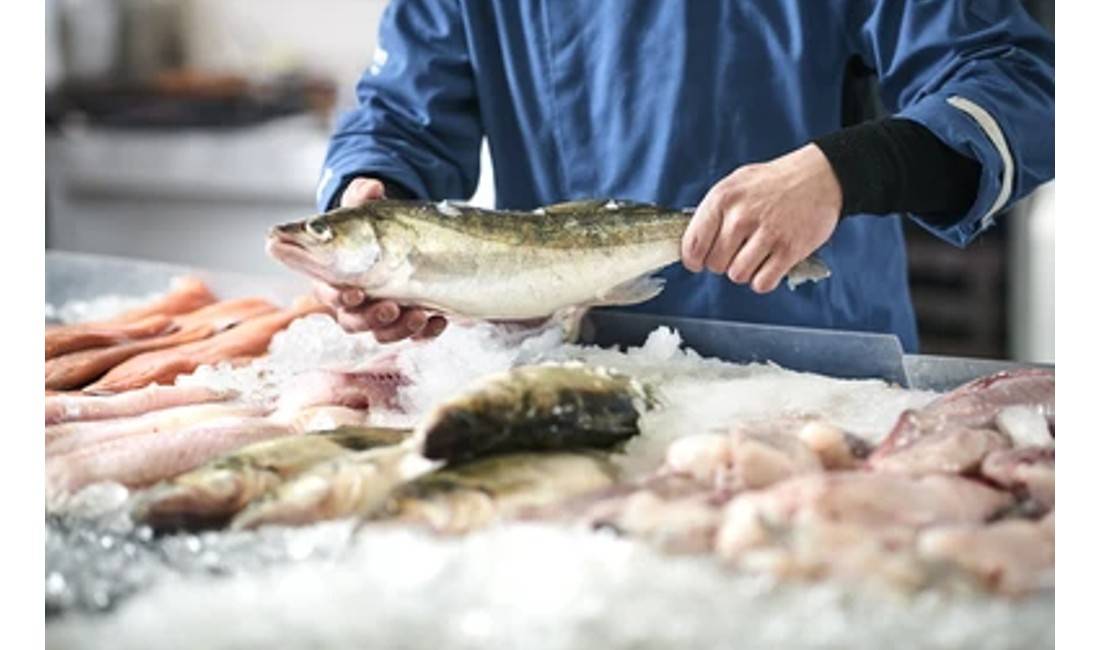 Offerte di lavoro a Tirana, Profession  Ekonomist, Shites, Kamarier dhe Pastruese , Con esperienza, Pagamento Trattabile.