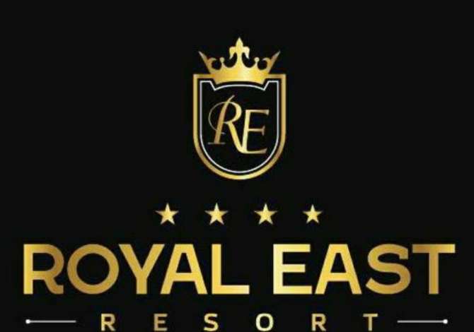 Offerte di lavoro per Ricezione a Tirana