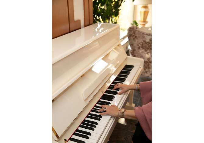 Offerte di lavoro a Tirana, Profession Kamarier/e,  Banakiere dhe Hostess , Con esperienza, Pagamento Trattabile.