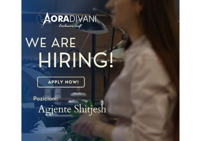 Offerte di lavoro per Agente di vendita a Tirana