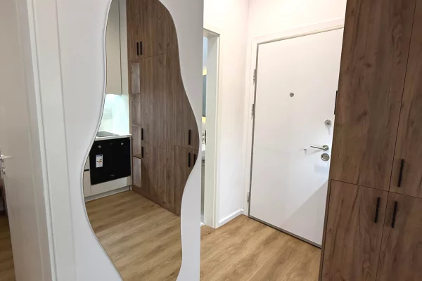 Shtepi me qera Apartament ne Tirane, 1+1, Mobilimi E mobiluar, Pagesa 550  Euro.