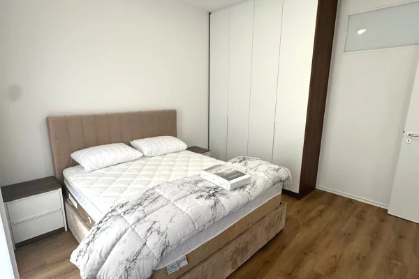 Shtepi me qera Apartament ne Tirane, 2+1, Mobilimi E mobiluar, Pagesa 1,000  Euro.