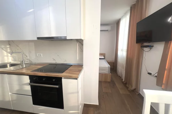 Apartment for rent in Tirana Garsoniere, Furnished