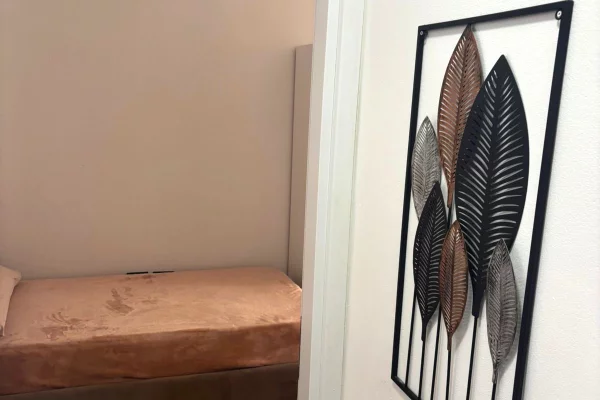 Shtepi me qera Apartament ne Tirane, 2+1, Mobilimi E mobiluar, Pagesa 700  Euro.