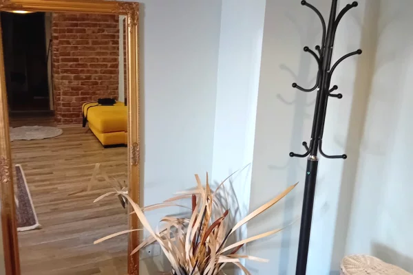 Shtepi me qera Apartament ne Tirane, 1+1, Mobilimi E mobiluar, Pagesa 520  Euro.