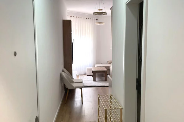 Shtepi me qera Apartament ne Tirane, 1+1, Mobilimi E mobiluar, Pagesa 450  Euro.