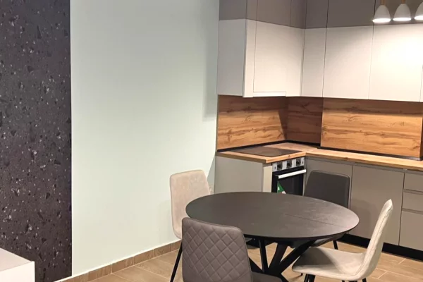 Shtepi me qera Apartament ne Tirane, 1+1, Mobilimi E mobiluar, Pagesa 550  Euro.